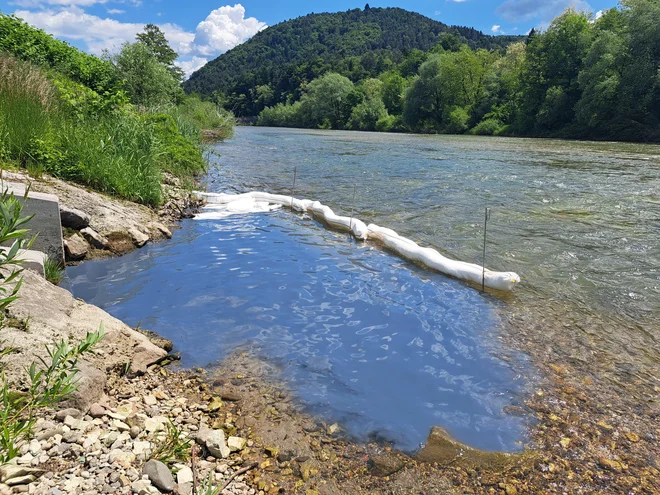 Precej sivomodre tekočine je že prej odneslo oziroma se je v vodi raztopila. FOTO: Špela Kuralt/Delo