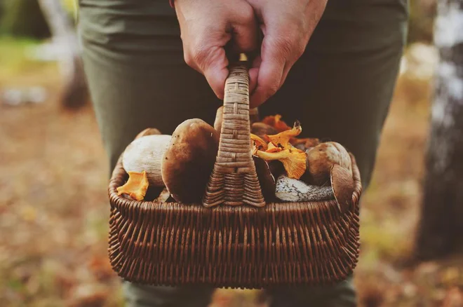 Evgen Benedik: Miraculous Super Farms
