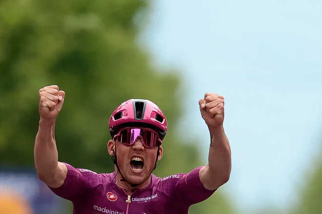 Kraljevski sprint Madsa Pedersena. Njegova 4. etapna zmaga na letošnjem Giru. FOTO: Luca Bettini Afp
