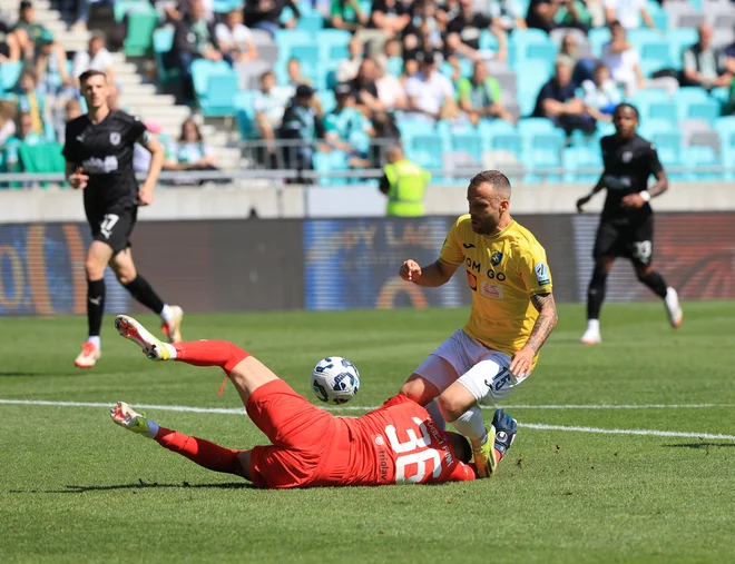 Olympia and Bravo finished the season, followed by a challenge in Europe