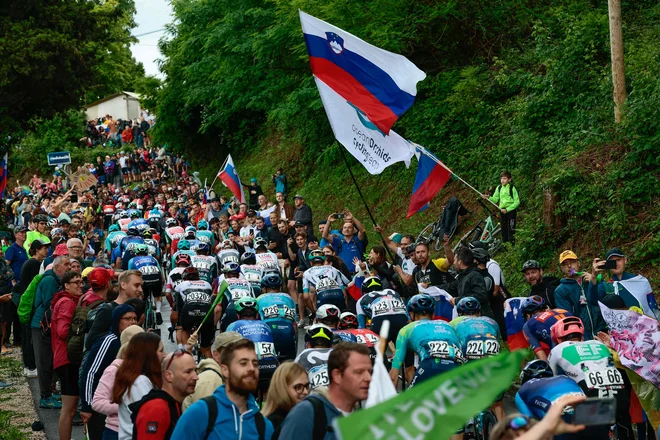 Navijaški koridor v Goriških brdih, skozi katerega se je prebijal peloton, je spominjal na največje enodnevne dirke v Belgiji. FOTO: Luca Bettini/AFP
