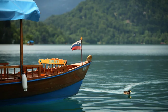 Slovenska geografska razgibanost pospešuje vodo, ki pa je v večjem toku čista, saj v Sloveniji veliko rek tudi izvira. FOTO: Jure Eržen/Delo