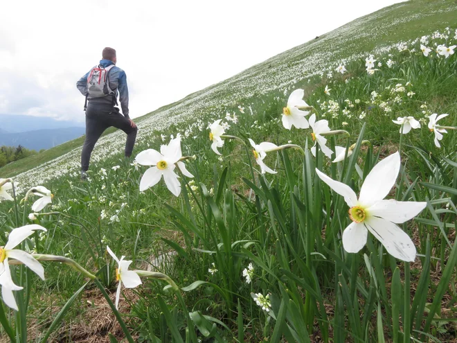 V jeseniškem planinskem društvu vsem tistim, ki si želijo malce bolj intimne izkušnje, priporočajo obisk med tednom. FOTO: Blaž Račič