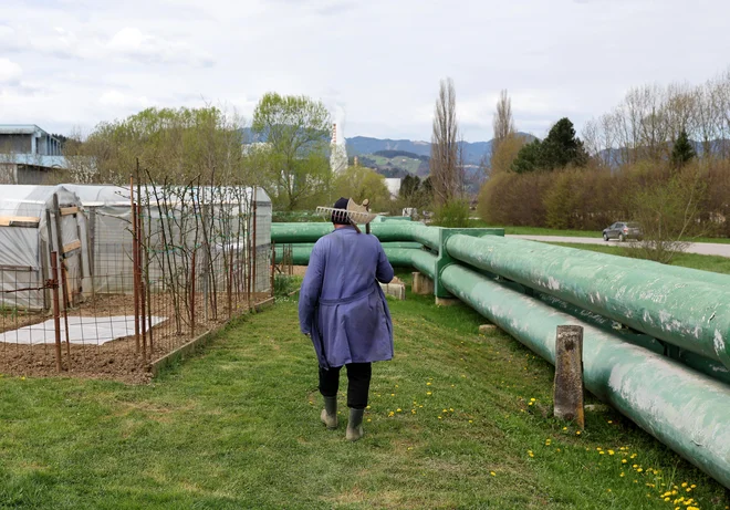 V študiji so ugotovili, da je po oceni prebivalcev eden od najpomembnejših programov pravičnega prehoda ureditev ogrevanja v Šaleški dolini, ki je zdaj v celoti odvisno od premogovnika in termoelektrarne. FOTO: Blaž Samec/Delo