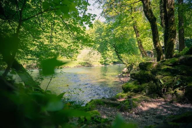 Na tem območju je veliko lepih prostorskih nastavkov, svoje čare kaže tudi voda različnih globin, odbleskov in barv, opaziti je zelo zanimivo rastje, naštevajo arhitekti. FOTO: arhiv Zavoda Ivana Cankarja Vrhnika