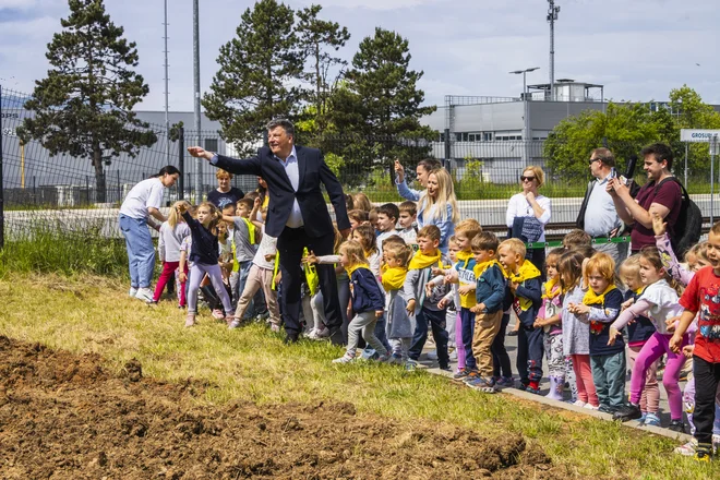 Z zasaditvijo sončnic ob železnicah Slovenske železnice simbolično povezujejo trajnost, obnovljive vire energije in lokalne skupnosti.  FOTO: Slovenske železnice