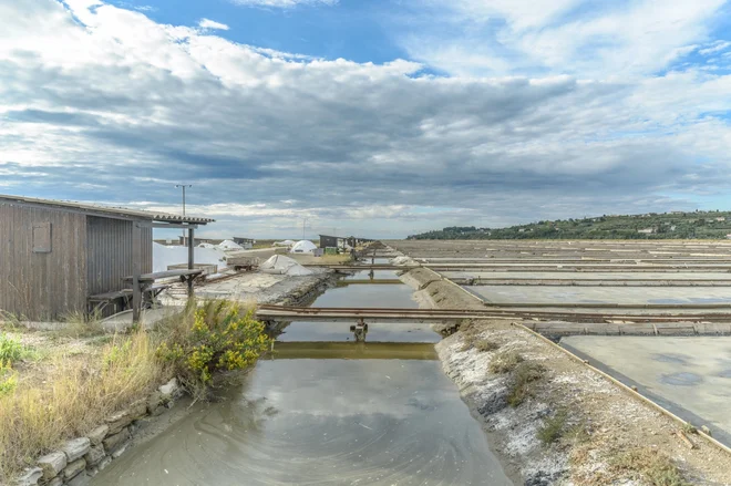 FOTO: Depositphotos