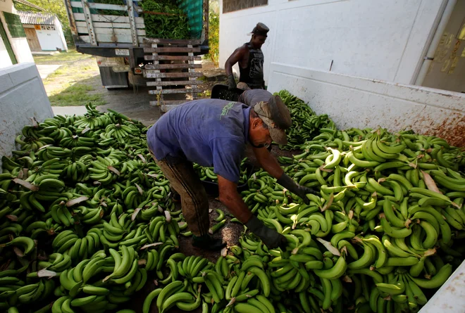 FOTO: Jaime Saldarriaga/Reuters