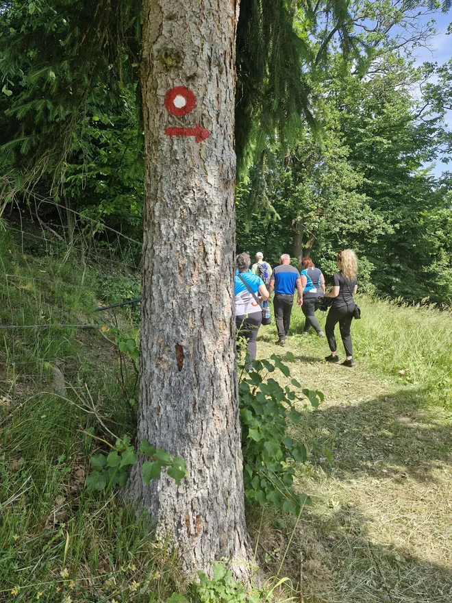 Markacije so običajno narisane v višini oči, riše se tako, da je vidna v smeri hoje. FOTO: Beti Burger