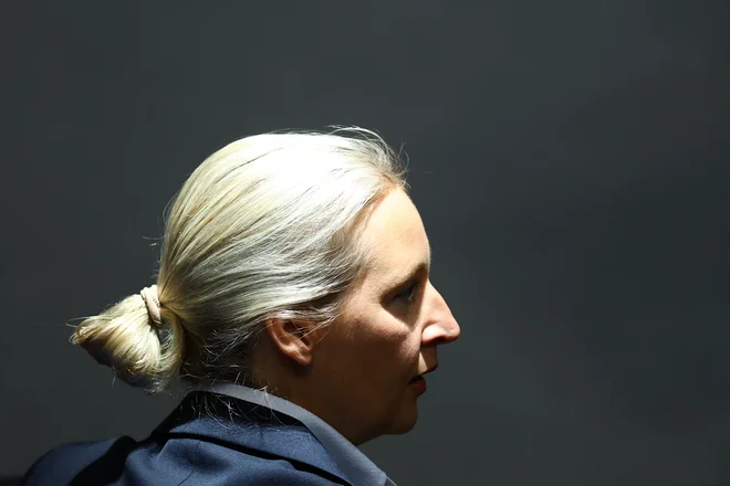 Trump in njegovi so bolj blizu alternativi za Nemčijo Alice Weidel. Foto: Lisi Niesner/Reuters