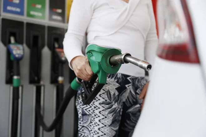 The Government approved a version of climate law that will not affect fuel prices