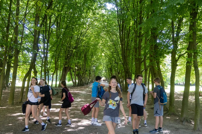 Čez cesto od gradu je slikovit park iz grofovskih časov z menda najdaljšim gabrovim drevoredom v Evropi. FOTO: Voranc Vogel