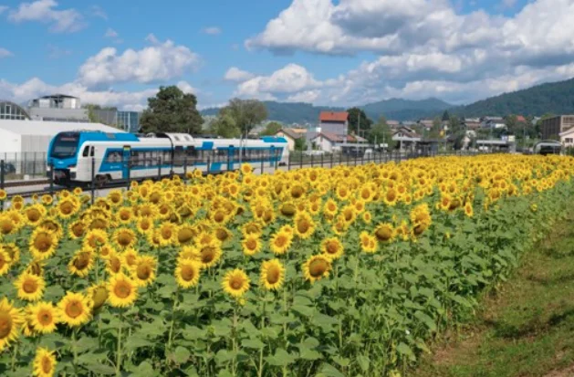 FOTO: Slovenske železnice