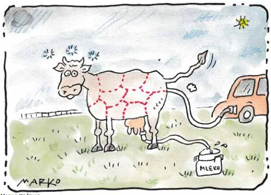 KARIKATURA: Marko Kočevar