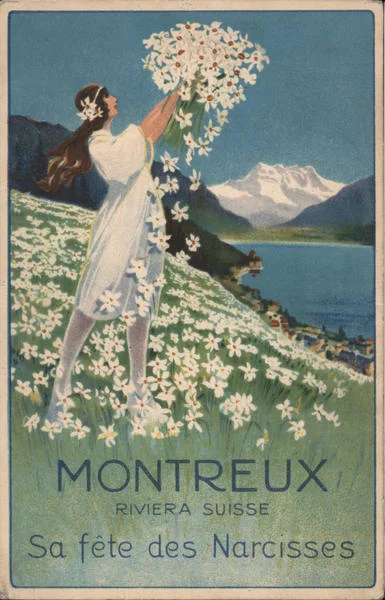 White daffodils have been a symbol of Montreux for over a century. Photo: Visit Montreux