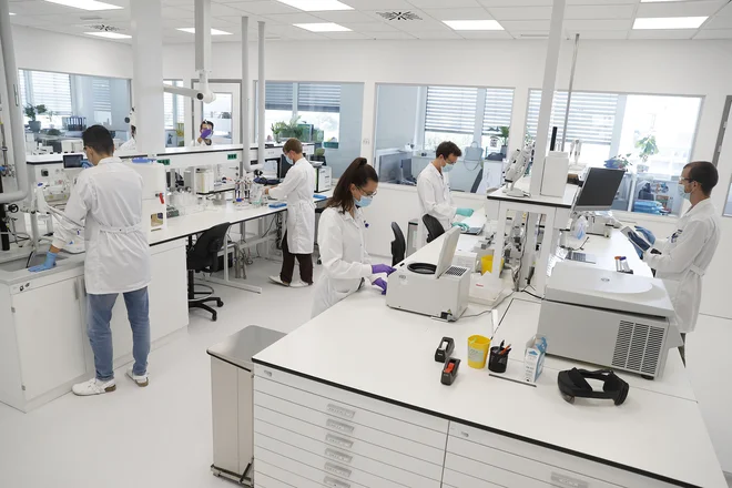 Farmacija in biotehnologija sta strateški panogi v Sloveniji, ki ustvarjata visoko dodano vrednost, a tudi za njun razvoj bodo potrebni ukrepi. FOTO: Leon Vidic