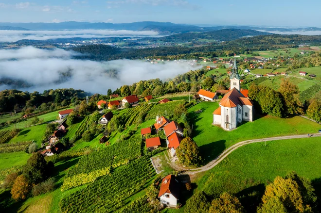 Trška gora ponuja kolesarske in pešpoti ter doživetja v zidanicah. FOTO: Zavod Novo Mesto