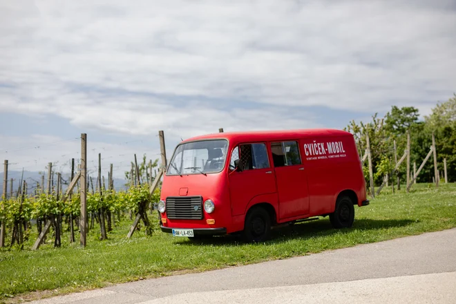 Cvičekmobil je oldtimer, narejen v novomeškem IMV. Prevaža obiskovalce, ki postanejo vinogradniki za en dan – od trgatve prek stiskanja grozdja do ... vemo, česa. FOTO: Davorin Pavlenič