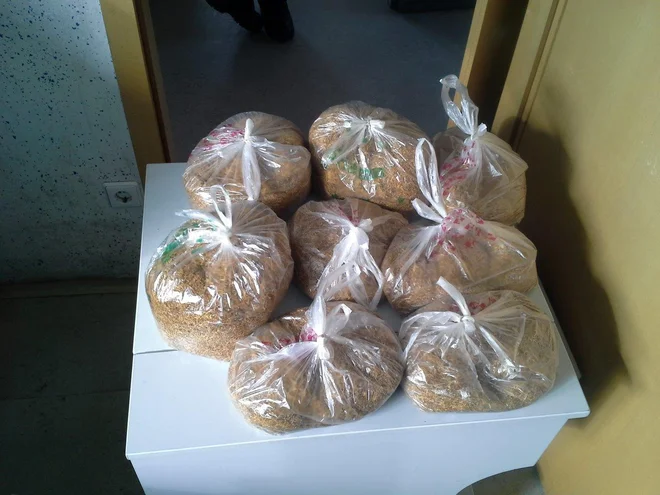 Strokovnjaki opozarjajo, da bi visoke podražitve lahko povečale obseg črnega trga. FOTO: PU Celje