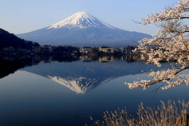 Gora Fudži v letnem času, ki si ga na Japonskem želijo doživeti številni obiskovalci. FOTO: Carlos Perez Gallardo/Reuters