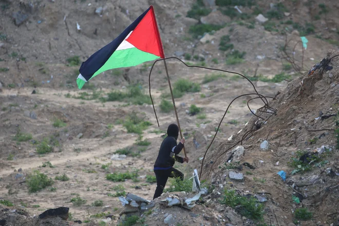 For the tragedy of Palestine hides American concrete