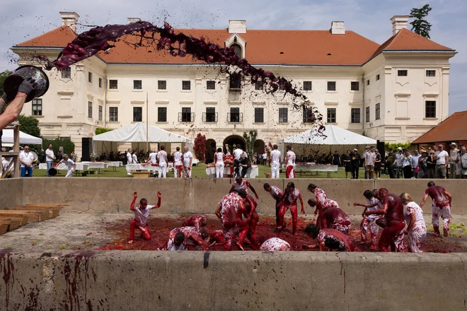 V šestdnevni igri Hermanna Nitscha se zdi vse podrejeno obredju, gre za ujetost v neskončne ritualne, liturgičnim podobne vzorce. Fotografije Esel Lorenz Seidler
