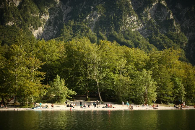 Miren dopust se lahko hitro spremeni v svoje nasprotje. FOTO: Jure Eržen