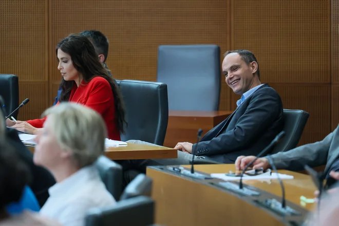 Konec meseca Demokrati načrtujejo združitveni kongres, nato pa ambiciozno merijo na dvajset poslancev. Skupna lista z drugimi strankami jih v tej fazi, kot kaže, ne zanima. FOTO: Črt Piksi