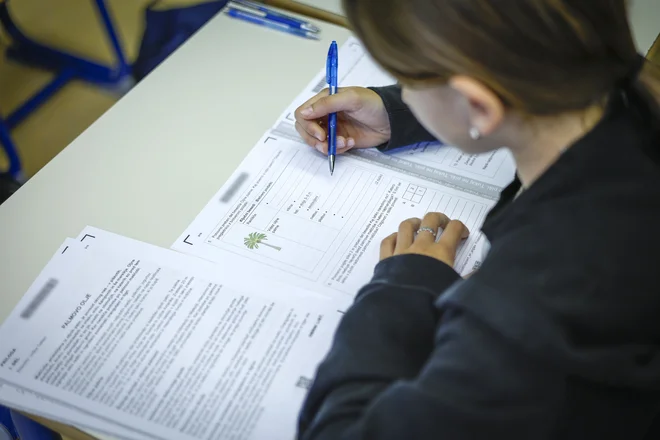 Vse kaže, da bo novela zakona o maturi sprejeta, opozicija je proti. FOTO: Jože Suhadolnik/Delo