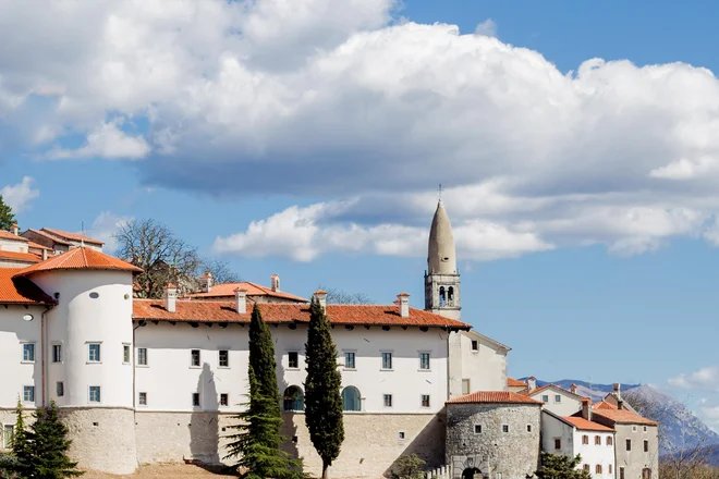 Grad Štanjel je simbol kulturne identitete Krasa in ena najbolj prepoznavnih arhitekturnih znamenitosti regije. S Ferrarijevim vrtom Maksa Fabianija je med najbolj obiskanimi kraškimi znamenitostmi. FOTO: Ana Rojc