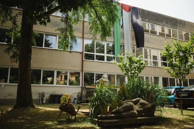 Supremacistična instalacija v barvah palestinske zastave. FOTO: Emina Djukić
