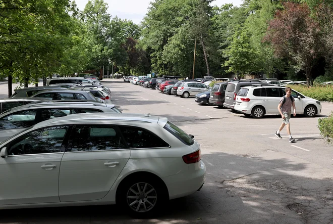 Asfaltirano parkirišče pred vhodom v živalski vrt je trenutno še brezplačno. Zato je, razumljivo, povsem zasedeno tudi med tednom. FOTO: Blaž Samec/Delo