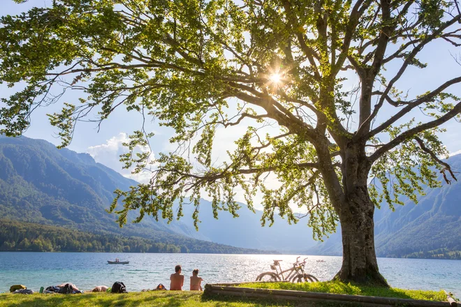 FOTO: Shutterstock