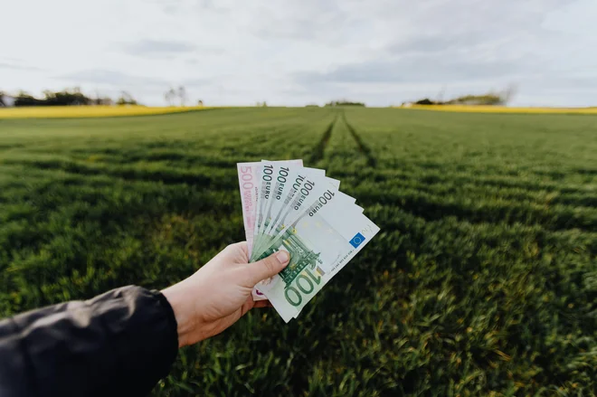 Obresti in depoziti so po upadu kapitalskih dobičkov znova pomemben vir zaslužka. FOTO: Pexels