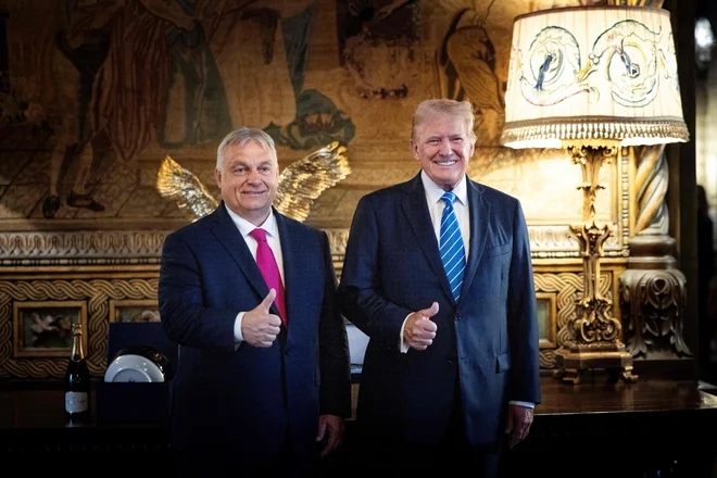 Skrajno desne stranke v EU so postale Trumpovi ideološki zavezniki pri preoblikovanju svetovnega reda. FOTO: Zoltan Fischer/Afp