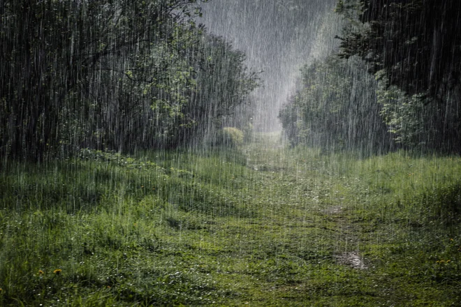 »Osemnajsti november je. Navadila sem se na to misel. Navadila sem se na zvoke, na siv jutranji svit in na dež, ki bo zdaj zdaj padal po vrtu,« beremo v romanu O prostornini časa I. FOTO: Shutterstock