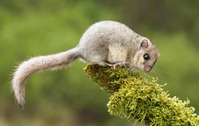 FOTO: Shutterstock