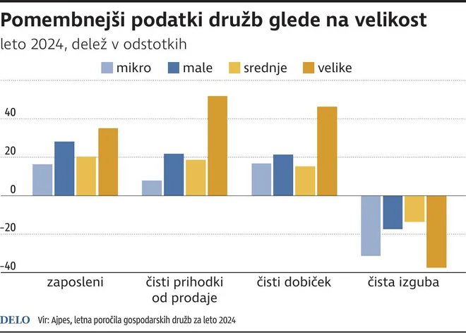 Pomembnejši podatki družb glede na velikost v letu 2024. INFOGRAFIKA: Delo