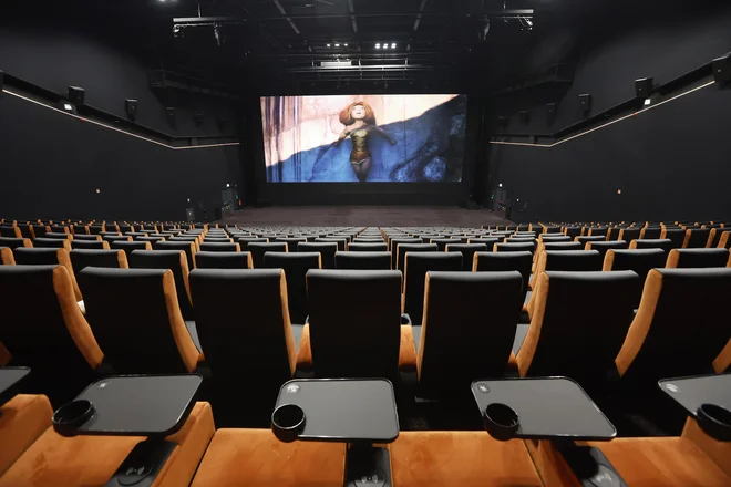 Najmanjša dvorana je VIP s 57 sedeži. FOTO: Leon Vidic/Delo