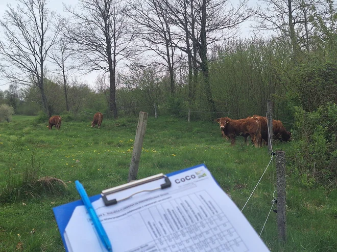 Ogled praks na terenu in intervju s kmetom FOTO: Katja Konc


 
