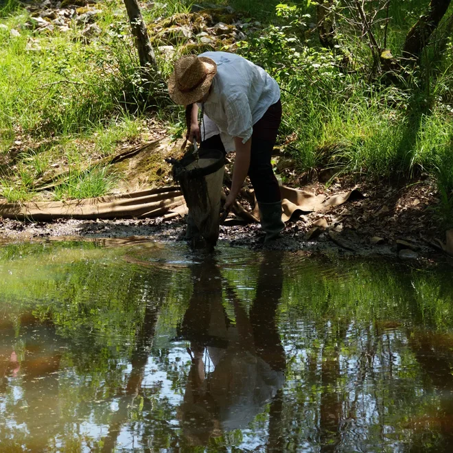 Včasih na terenskih ekskurzijah poprimejo tudi za mreže, da udeležencem pokažejo živali, ki se skrivajo v vodi. FOTO: Anja Pekolj


 
