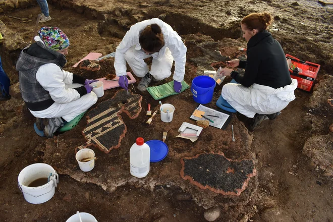 Arheologi med čiščenjem enega izmed mozaikov, ki so ga odkrili med izkopavanji ob Drami. FOTO: Tilen Kozamernik/skupina Stik