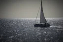 image_alt
