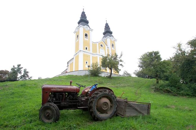 Kraški osamelec Gora Oljka je priljubljena izletniška točka. FOTO: Marko Feist