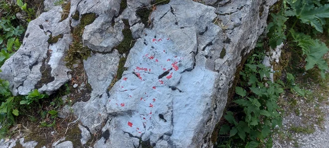 Neznanci so prebarvali markacije in napise na križiščih v smeri proti Luknji in mimo Bivaka pod Luknjo proti Kriškim podom. FOTO: Gregor Berce/PZS