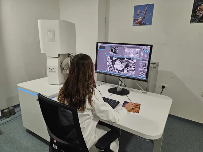 Petra Slavinec pri uporabi vrstičnega elektronskega mikroskopa. FOTO: osebni arhiv


 
