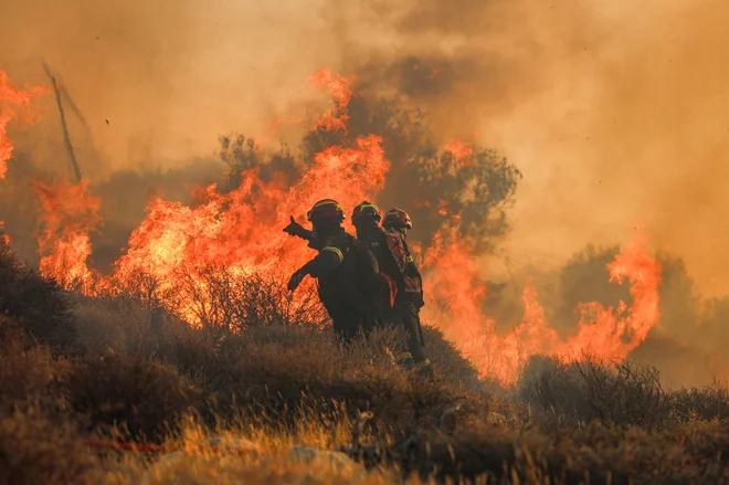 Vročinski val in veter otežujeta delo gasilcev na Kreti. FOTO: Costas Metaxakis/AFP
