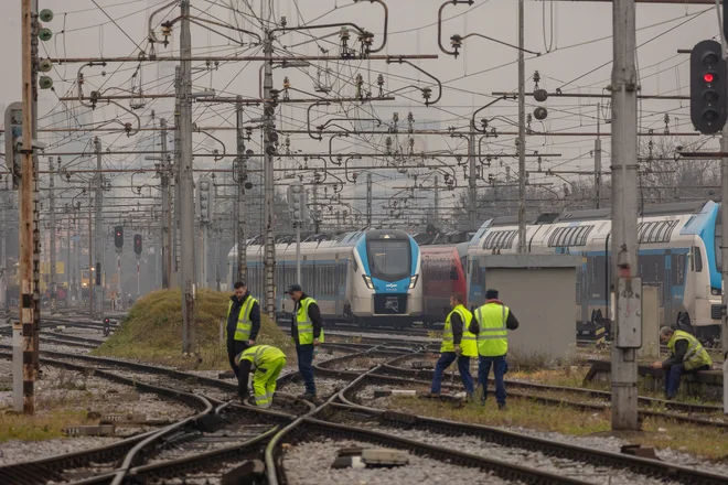 Koliko je politične volje za večjo stopnjo integriranosti? FOTO: Črt Piksi
