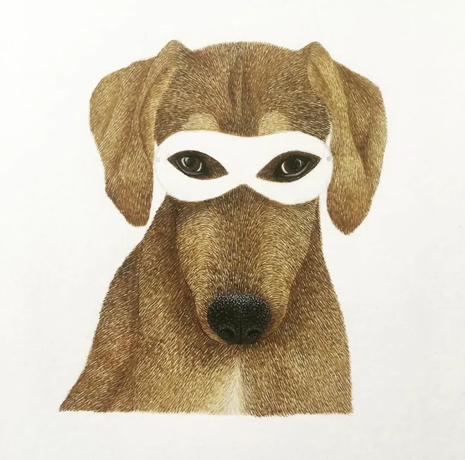 Kuža z masko je z razstave Pelo iz beneške galerije Zazà – art comics shop in je ostal v Benetkah.