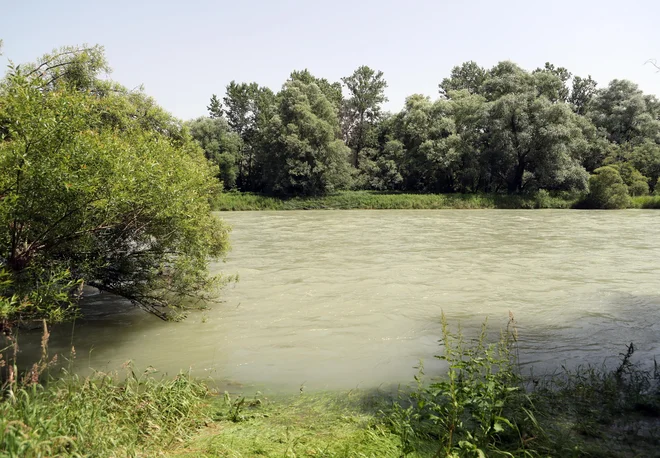 Mamo in šestletnega otroka je rešil 46-letni moški, devetletnik pa je izginil pod vodno gladino.FOTO: Dejan Javornik